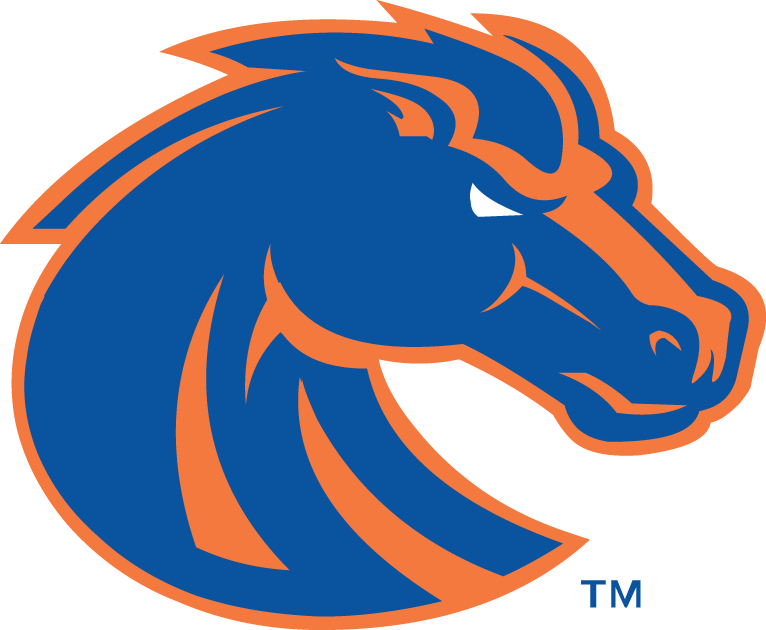 Boise State Broncos 2013-Pres Primary Logo iron on paper